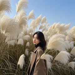 义远有机农场餐厅 User Photo