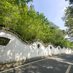 YU YAN LOU User Photo