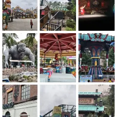 塘桥老哥·常州菜(江南环球港店) User Photo