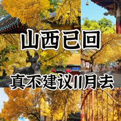 Mr chai Noodle User Photo