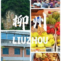 Weiweimushugeng User Photo