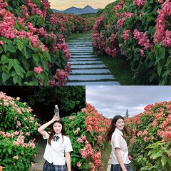 老顾客煲仔饭(蛇口店) User Photo