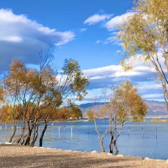 IN MY HEART User Photo