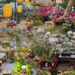 TU ZAO REN JIA CHAIHUO CHICKEN 여행 사진