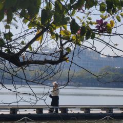 小清萊（惠城總店）張用戶圖片