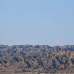 CHANGLUOHOU·BEEF PATTY WITH ALLIUM MONGOLICUM User Photo