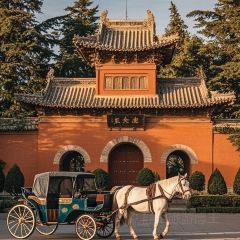 颍阳水席(登封店) User Photo