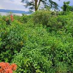 Seasons Elementaita Country Lodge User Photo