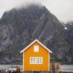 Makalaus User Photo