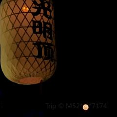 普洱光明顶文旅文创庄园 User Photo
