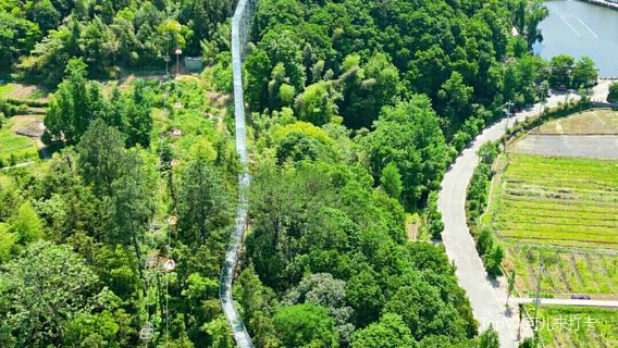 dou dou lan yue jing qu