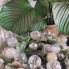 La patisserie JF User Photo