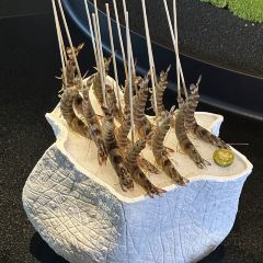 松庐和牛海鲜火锅 User Photo