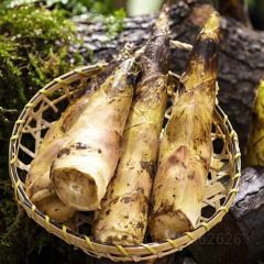Dian Zhi Wei Jun Wang Fu Mushroom Cuisine (Fu jian Road Branch) User Photo
