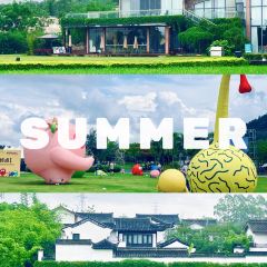 春沐源咖啡厅 User Photo