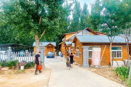 刘记鱼馆(东平店)