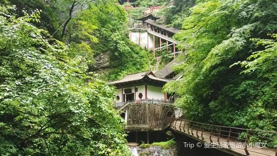 yang sheng gu - lu du men