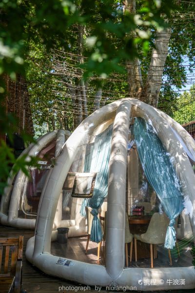 拾年(六〇三文创园店)