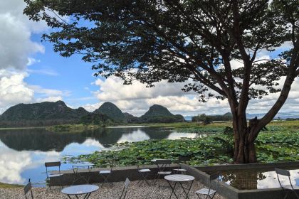 丽谯咖啡Loustland coffee