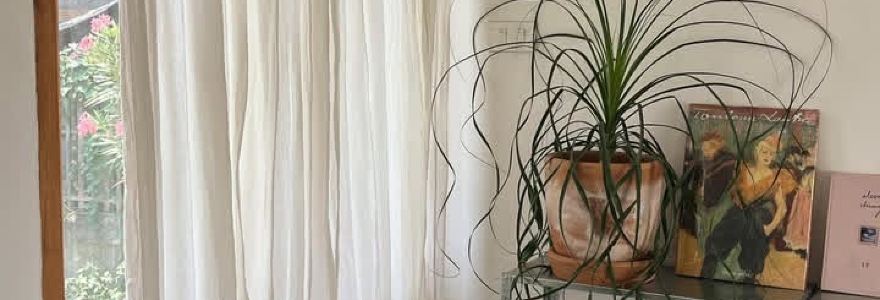 Waltz Bakes x Harvest Moon Bookshop