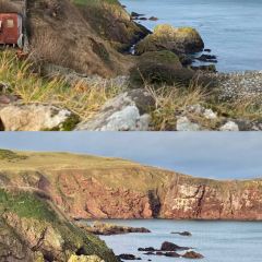 the Brown Bear pub Berwick upon Tweed 여행 사진
