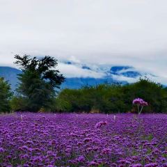 听花谷餐厅 User Photo