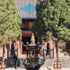 酒都宾馆对外餐厅(杏花店) User Photo