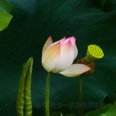 新郭记油茶(八角塘店) User Photo