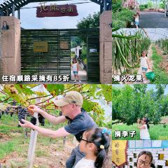 YONG XIANG TU CAI GUAN User Photo