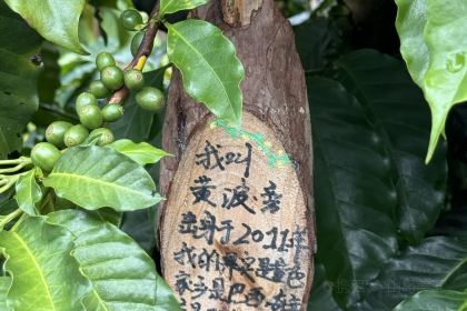 四月浅草风(锦屏路店)