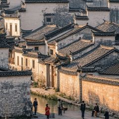 秀嫂挞粿 User Photo