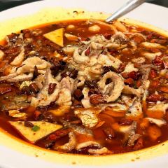 朱富贵火锅(宝信店) User Photo