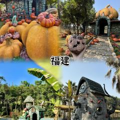 XIAO XI FU YOU CHA User Photo