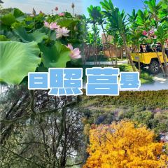 咱妈家·海菜包子(长峰店) User Photo