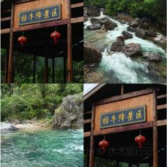 观度文里咖啡 User Photo