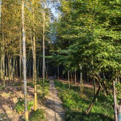 小三毛流浪处明清酒家(南北湖风景区店) User Photo