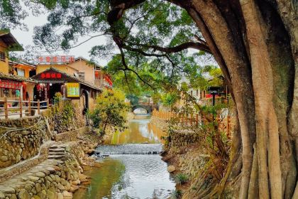 Laohu Local Restaurant