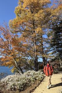 Changhebenteng 湖上苑飯店優惠