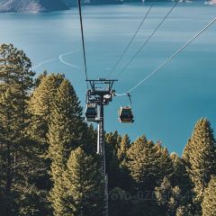 正宗会理鸡火丝(龙眼井店) User Photo