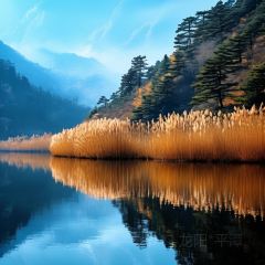 渔味堂南湾鱼三吃(湖东店) User Photo