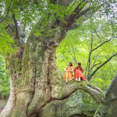 Yunotake-an User Photo