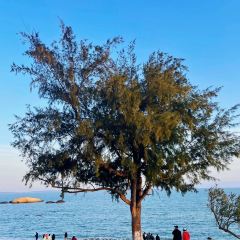 off work在海边·星空帐篷营地 여행 사진