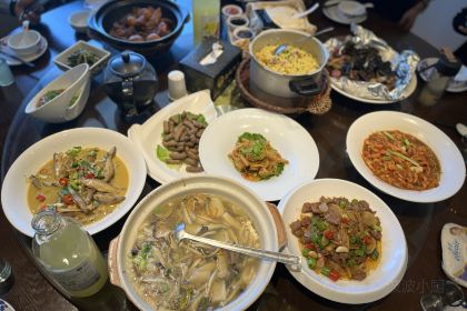 XIN BA WEI TU CAI GUAN