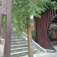 貴州師範學院張用戶圖片