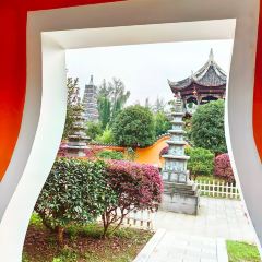 紀鍋盔張用戶圖片