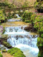 Verena Gorge