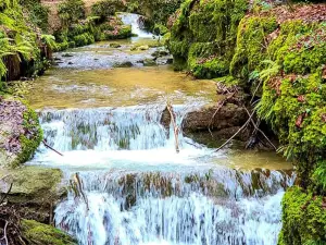 Verena Gorge