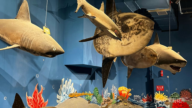 Natural Animal Ecology Pavilion