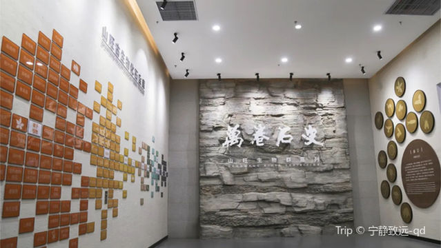 Shanwang Fossil Museum