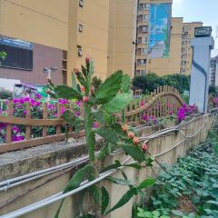 鑫金川鱼庄 User Photo